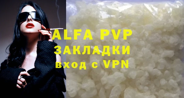 сатива Анжеро-Судженск