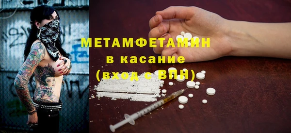 сатива Анжеро-Судженск