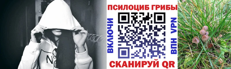 Галлюциногенные грибы ЛСД  Берёзовский 